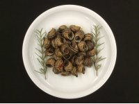 caragols a la gormanda