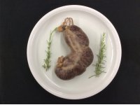 bull negre 1 unitat per safata de 0,360-0,400 kg.